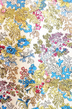 Load image into Gallery viewer, Chiquita Dress