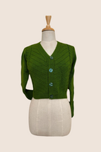 Load image into Gallery viewer, Green V Neck Cardigan